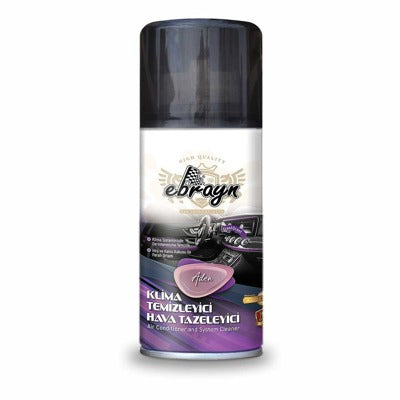 Klima Temizleyici Aden